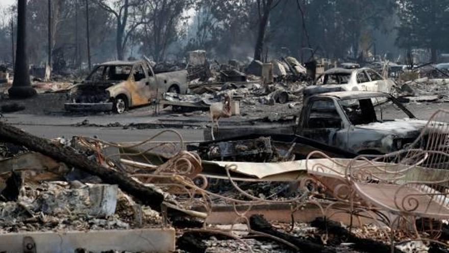 Diversos cotxes i cases destruïts pel foc a la localitat de Santa Rosa.