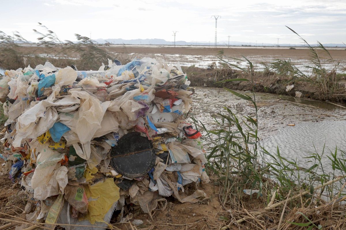 Valencia. El parque Natural de la Albufera a la altura de el puerto de Catarroja, lleno de basura tras el paso de la Dana VLC
