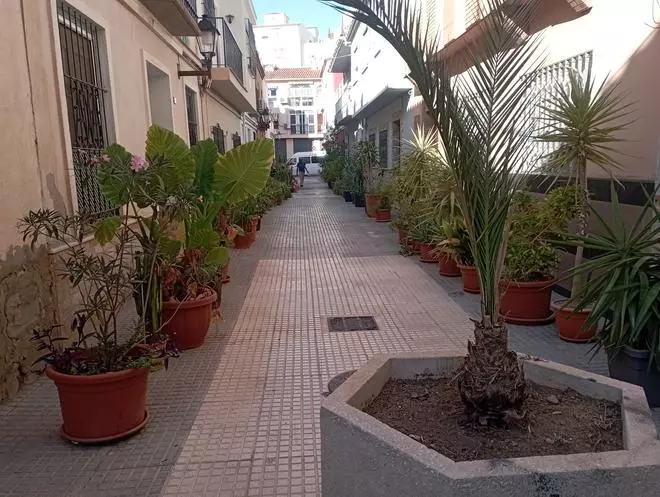 La lucha contra el cambio climático en El Molinillo