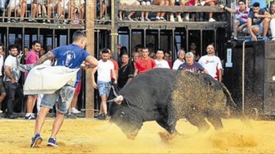 La peña El Bou retoma los actos taurinos en Nules con un astado de Hato Blanco