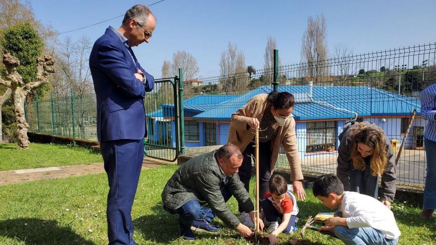 Avilés celebró el Día del Árbol en varios colegios