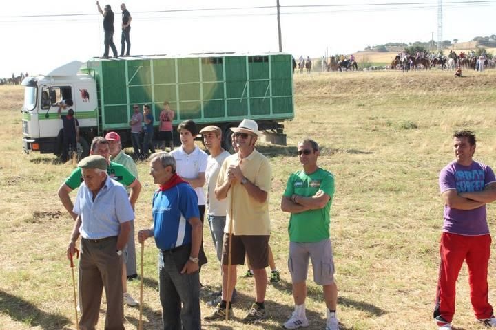 Espantes de Guarrate