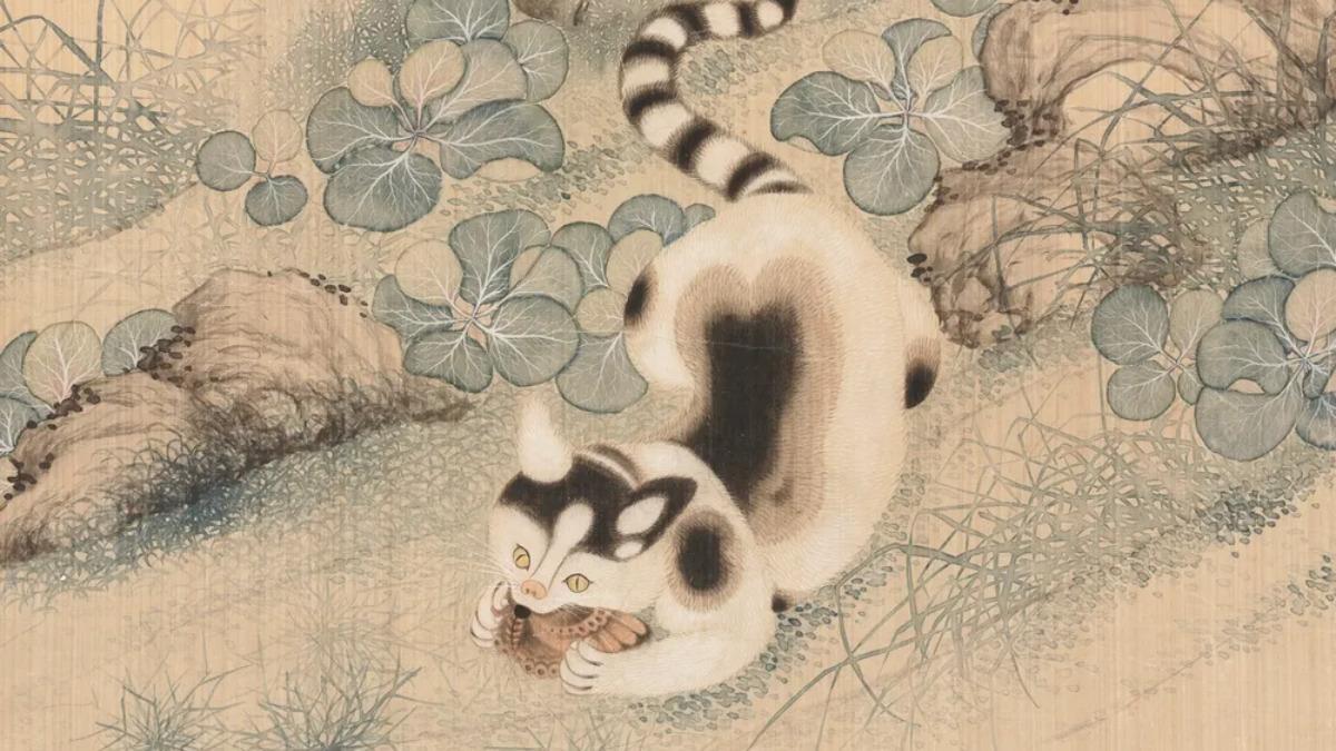 El estudio incluyó dos especies de gatos pequeños, gatos domesticados y gatos leopardo.