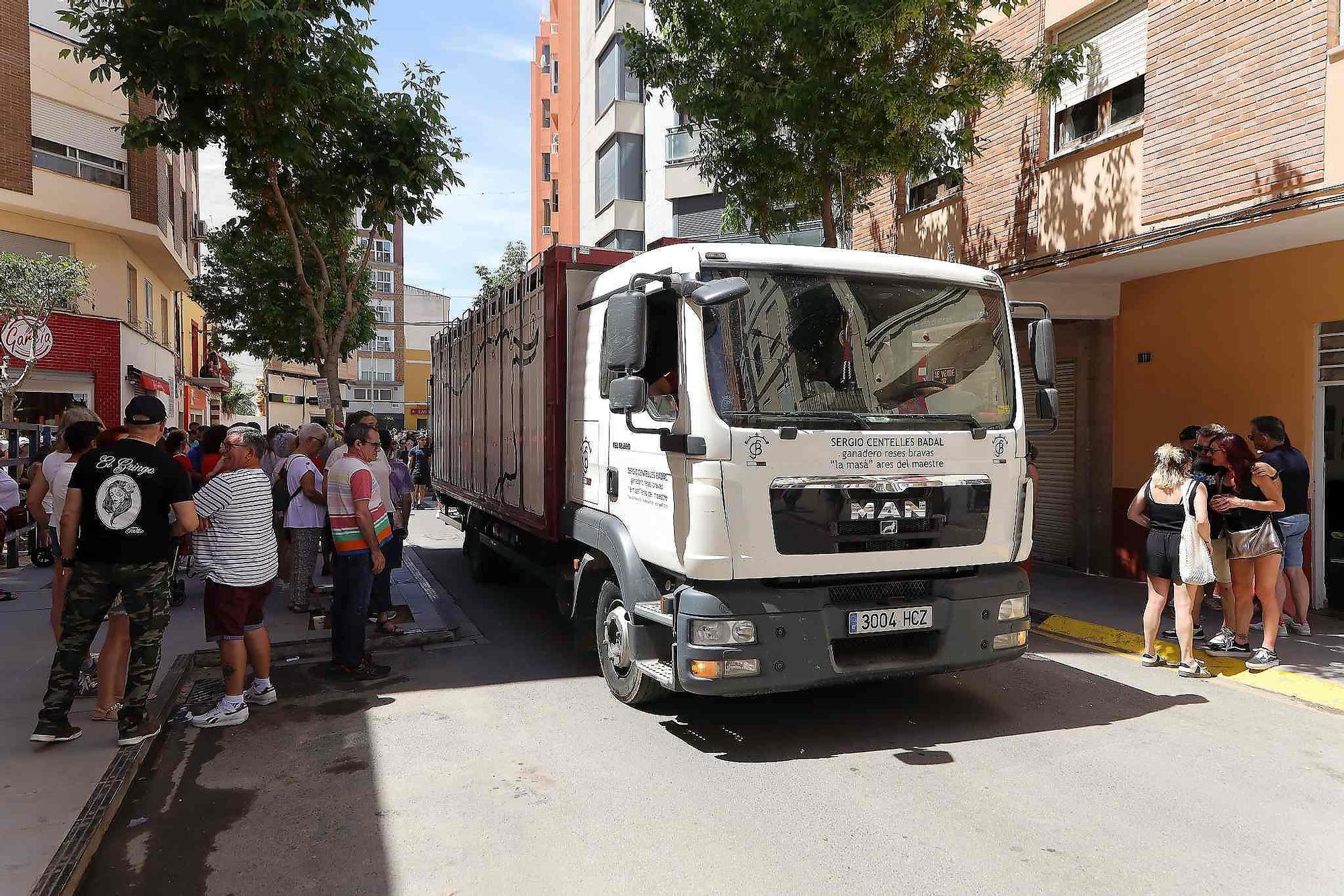 El Grau da inicio a las fiestas de Sant Pere con pólvora, bous y música