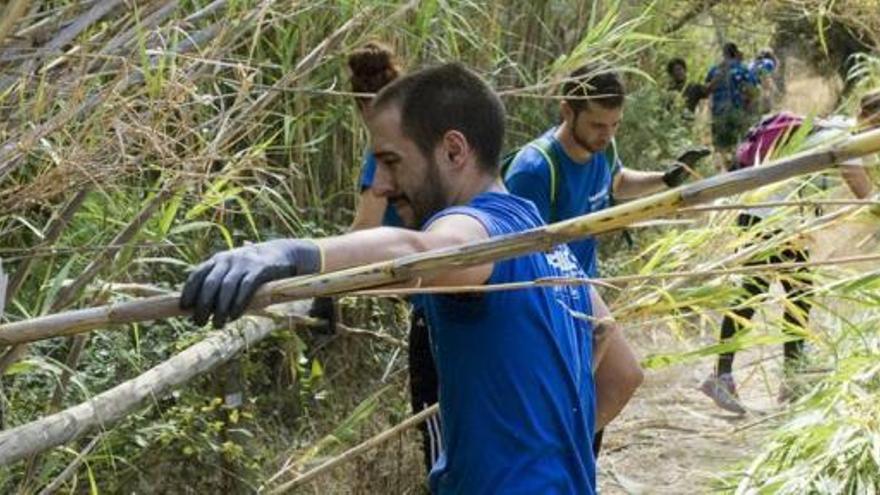 Voluntarios cuidan los espacios naturales de la Región