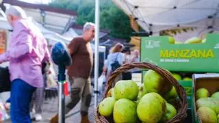 Valleseco celebra su día grande entre manzanas y fabada asturiana