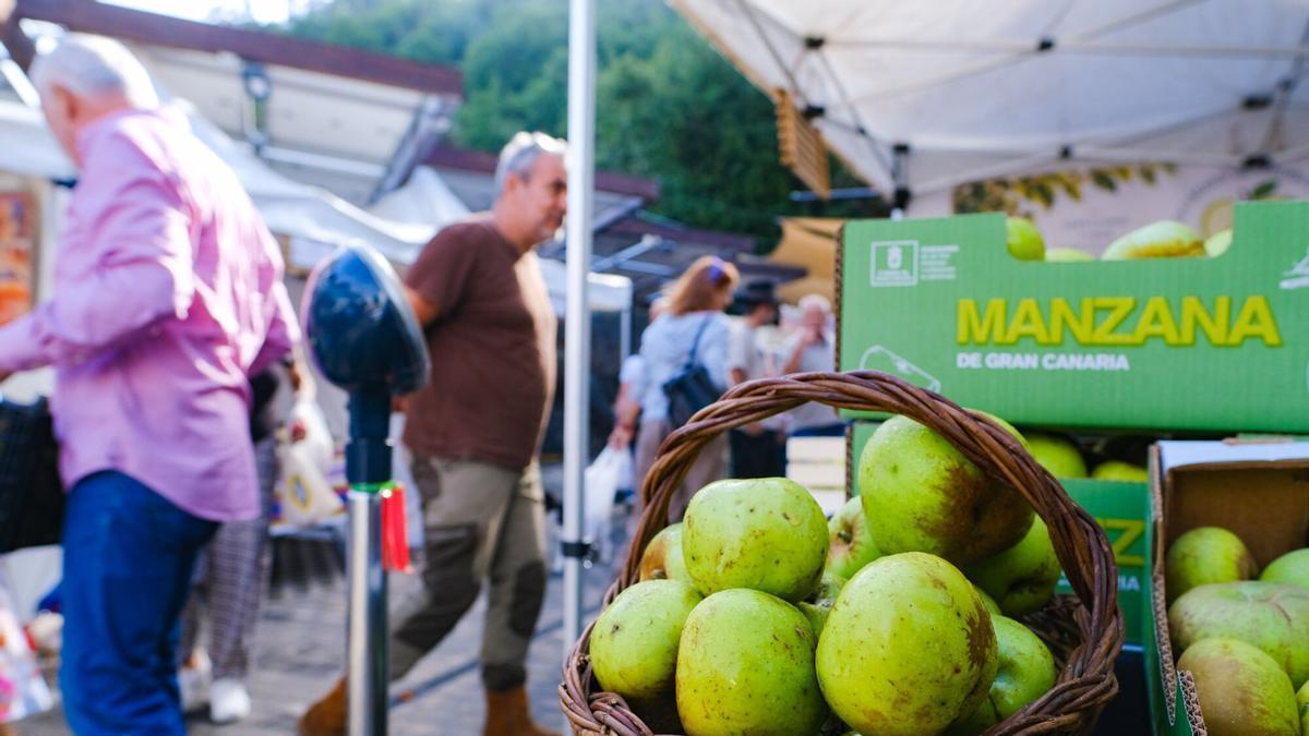 Valleseco celebra su día grande entre manzanas y fabada asturiana