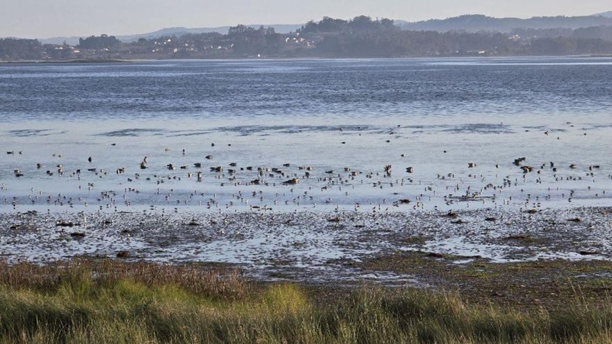 O Grove reivindica los efectos terapéuticos de la naturaleza