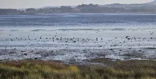 O Grove reivindica los efectos terapéuticos de la naturaleza