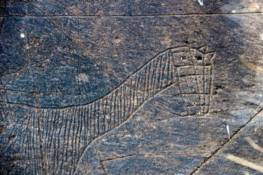 Descobreixen a la Vall d'Àssua centenars de gravats a la pedra de l'Edat mitjana