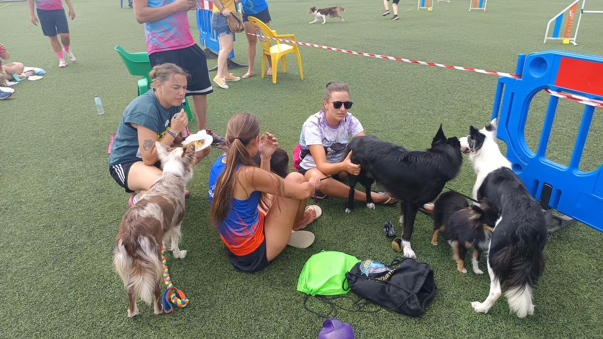 Rotundo éxito del VI Trofeo Agility "Ciudad de Cangas de Onís"