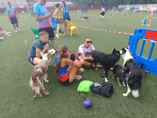 Rotundo éxito del VI Trofeo Agility "Ciudad de Cangas de Onís"