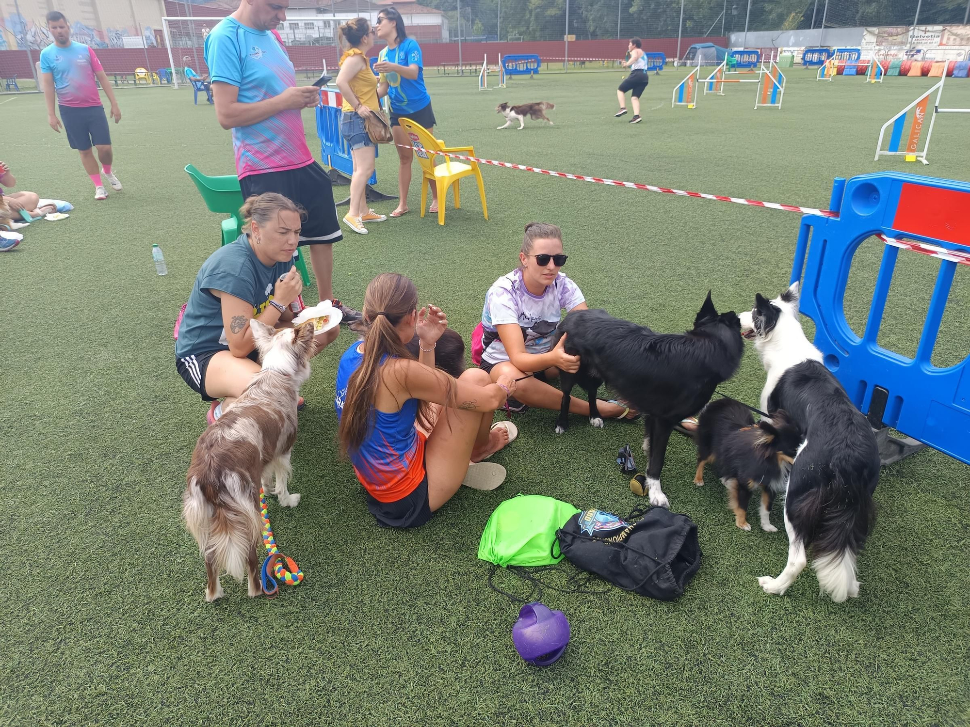 Rotundo éxito del VI Trofeo Agility "Ciudad de Cangas de Onís"