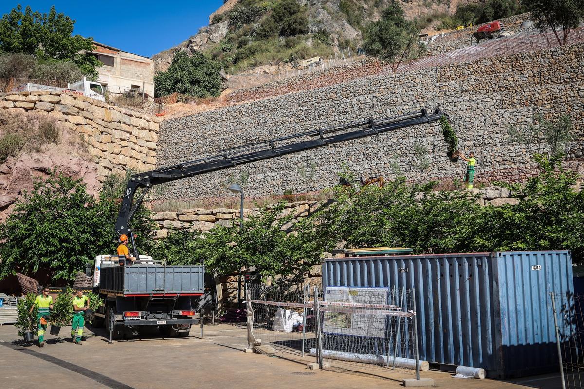Los trabajadores están llevando a cabo también las primeras plantaciones del futuro pulmón verde.