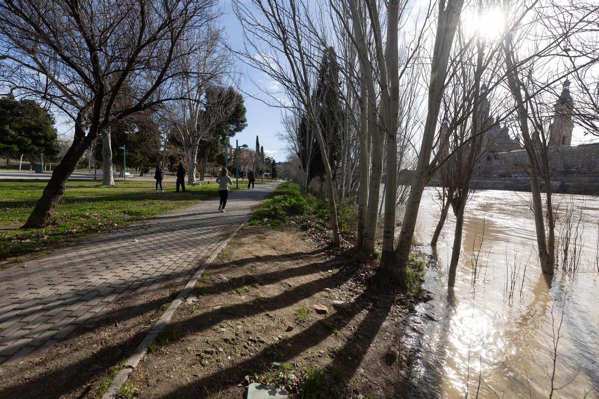 En imágenes I Así está el río Ebro a su paso por Zaragoza este lunes
