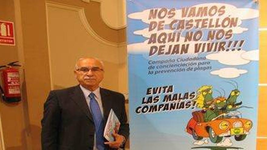 El Ayuntamiento de Castellón activa una campaña de concienciación para evitar la proliferación de mosquitos y cucarachas con la llegada de las altas temperaturas