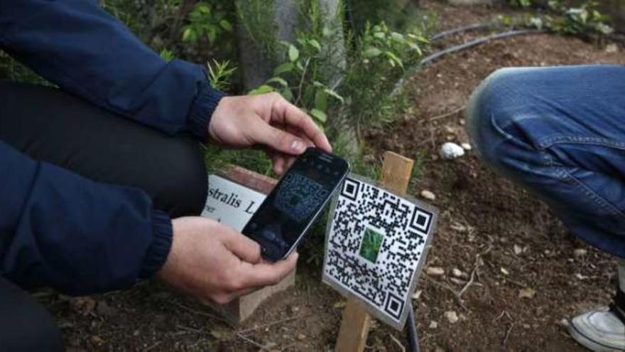 Uno de los códigos que permiten conocer, a través del móvil, qué planta tenemos delante.