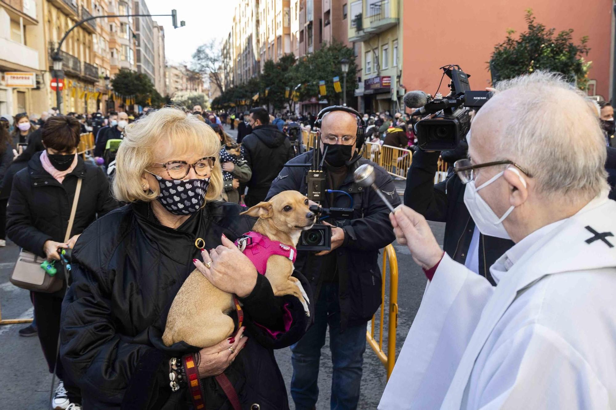 Búscate en la bendición de animales de Sant Antoni