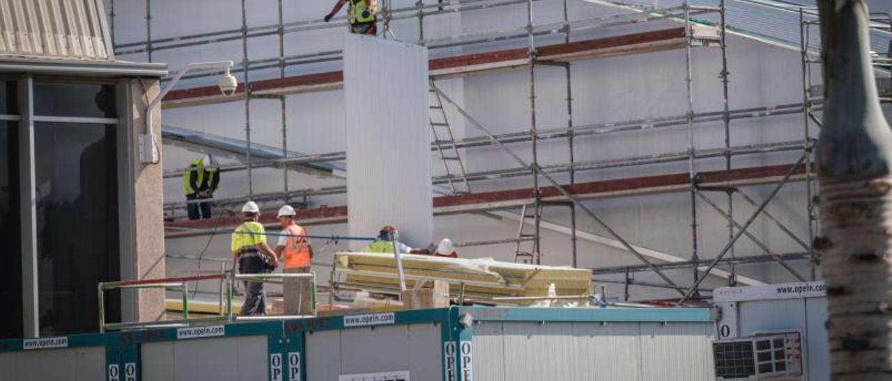 Varios operarios trabajan en unas obras en el aeropuerto Tenerife Sur. | |