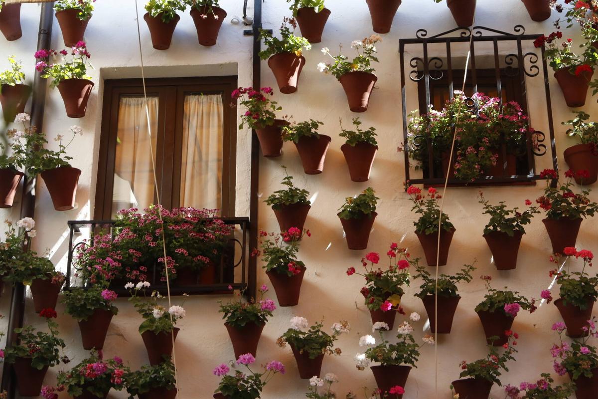 La fiesta de los Patios de Córdoba llega a su fin