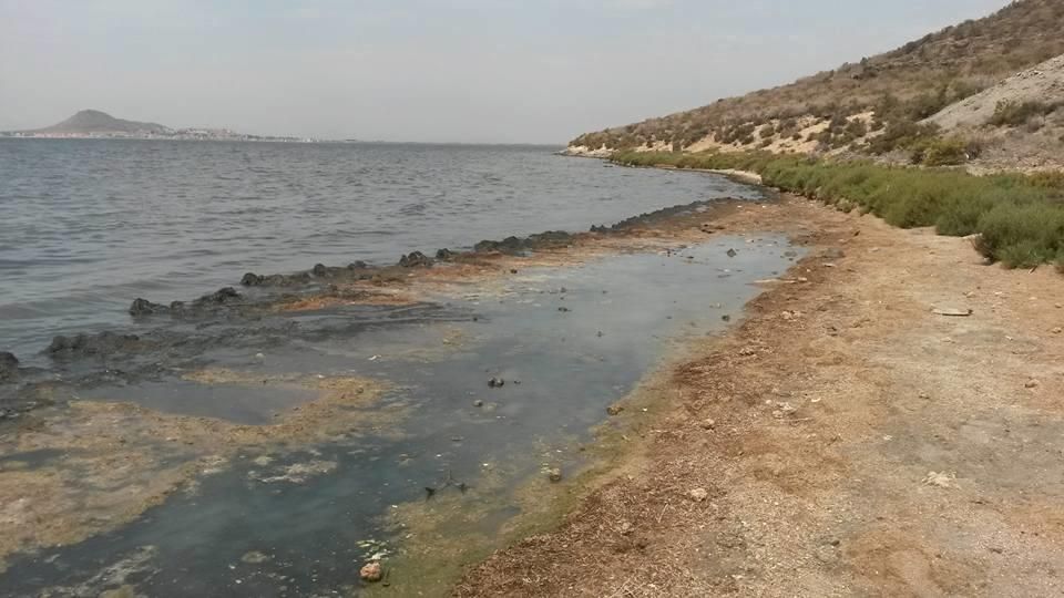 Lamentable estado de la isla Perdiguera del Mar Menor