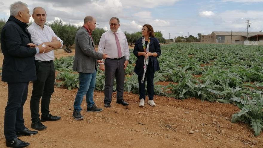 Martí visitó varios cultivos de ‘carxofa’ tras la firma del convenio en Benicarló.