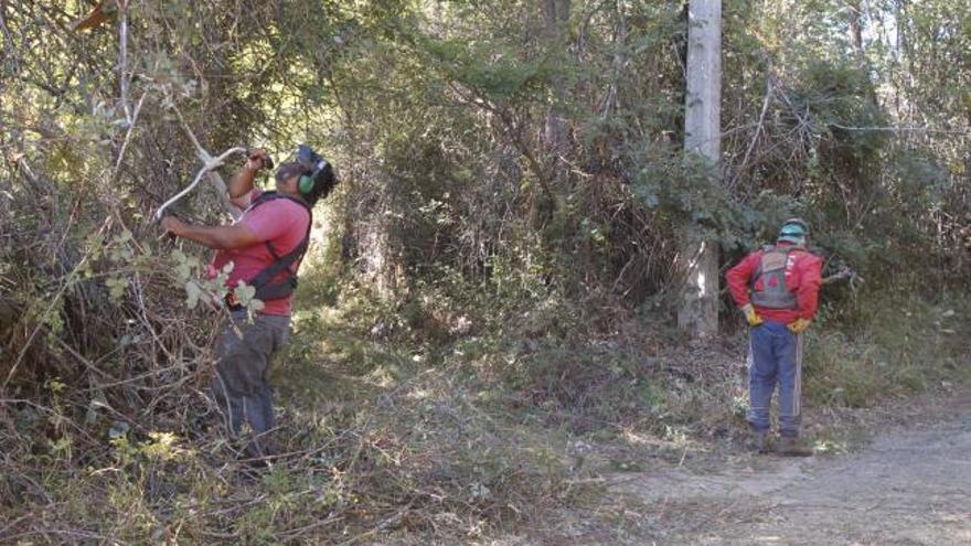 Dos trabajadores realizan labores de limpieza en una finca sanabresa.