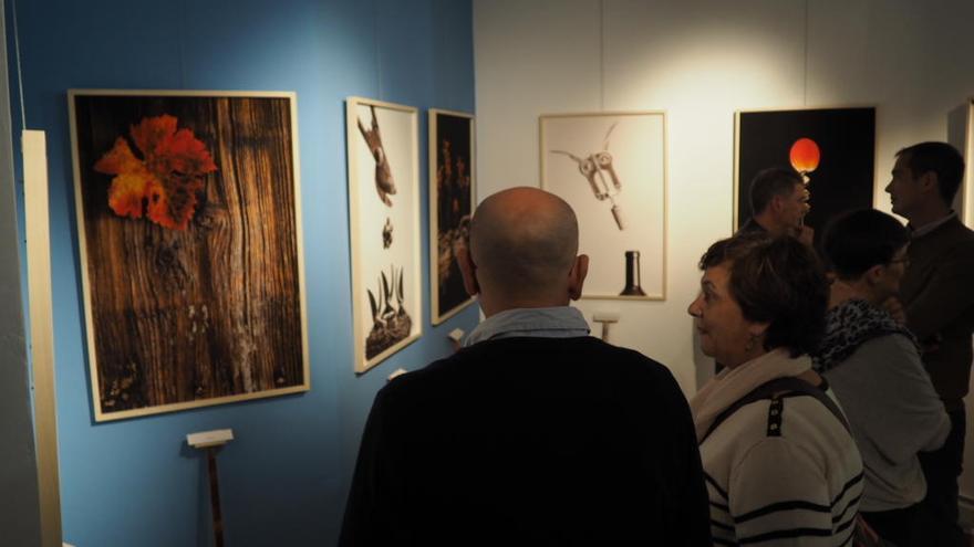 La viticultura y sus elementos en la exposición fotográfica de Juan Miguel Ortuño