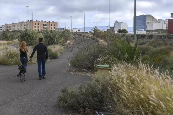 Urbanismo quiere una de las parcelas de Almatriche para crear zonas verdes