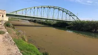 Xúquer Viu denuncia el deterioro del curso bajo del río por el escaso caudal