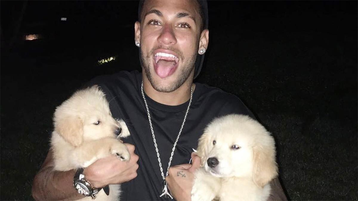 Neymar posa en Instagram junto a sus dos perros labradores