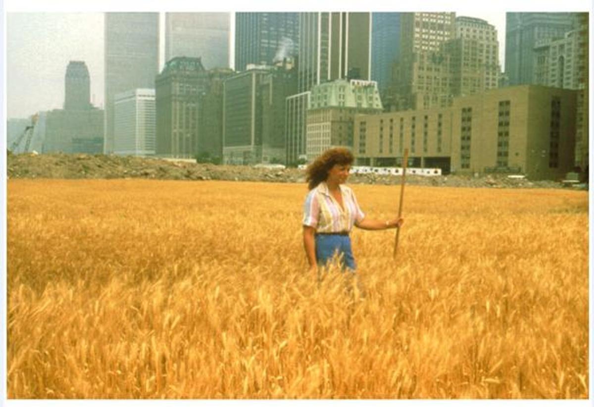 'Wheatfield: A Confrontation', de Agnes Denes.