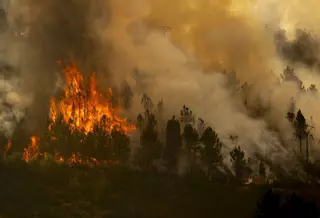 Los incendios del verano ya calcinaron más que todo lo que ardió en 2024