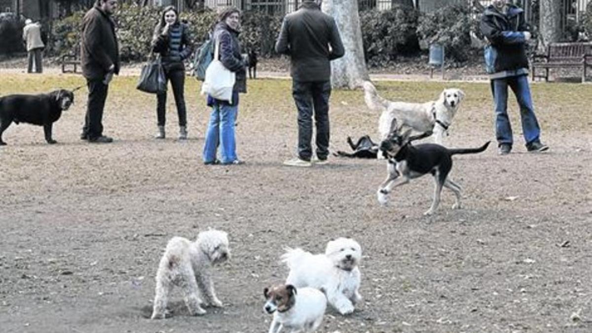 Varios perros juegan, sueltos, bajo la mirada de sus amos, ayer por la mañana, en el Turó Parc.