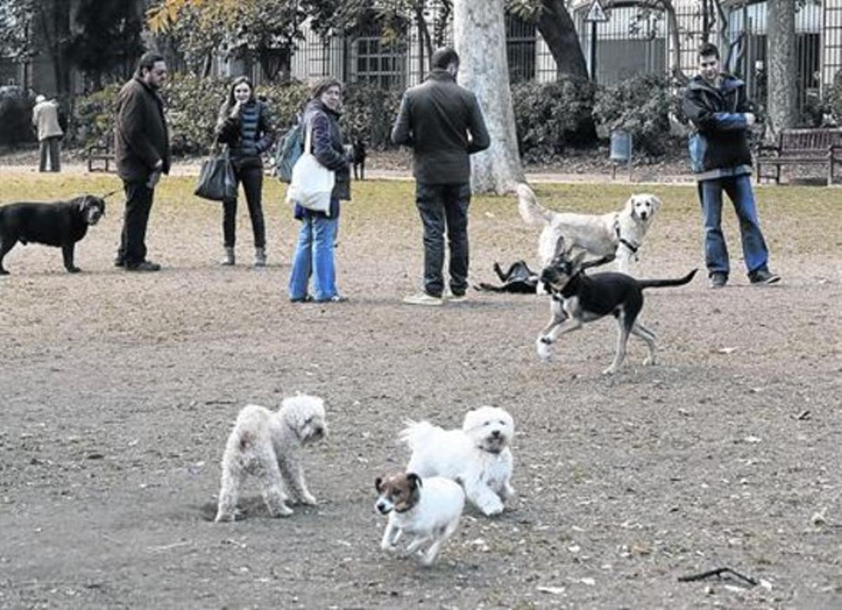 Varios perros juegan, sueltos, bajo la mirada de sus amos, ayer por la mañana, en el Turó Parc.