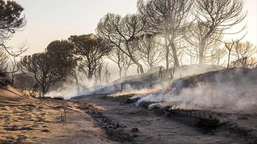 La Junta hará balance del incendio de Moguer en la Cámara andaluza