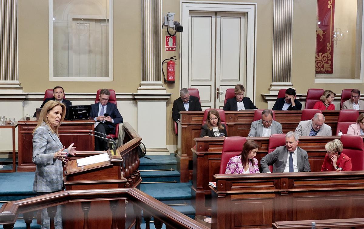 La portavoz del PP, Luz Reverón, durante su intervención en la tribuna de oradores.