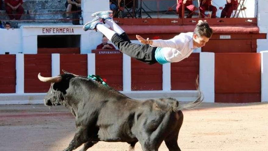 Concurso de cortes celebrado en Zamora.