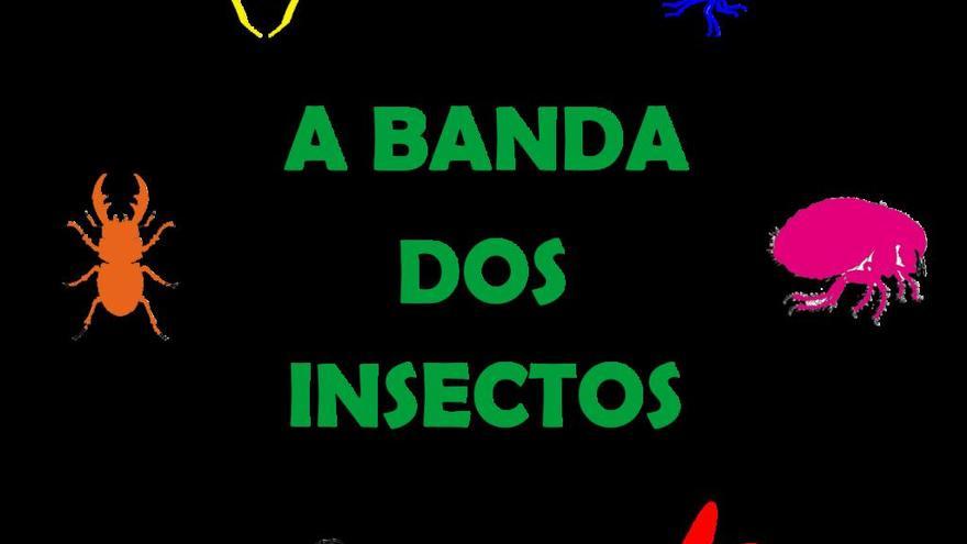 Imagen de la Banda dos Insectos. // FdV