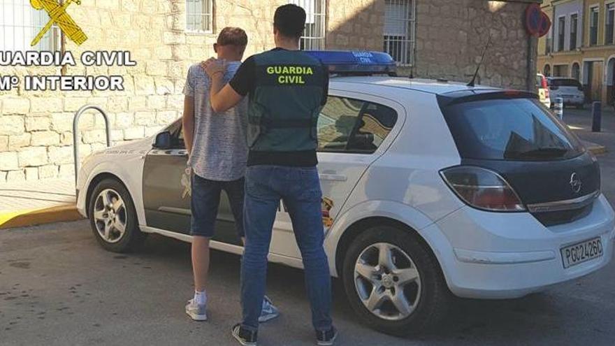 Arrestan a tres personas en Novelda por cultivo de droga y robos en vehículos