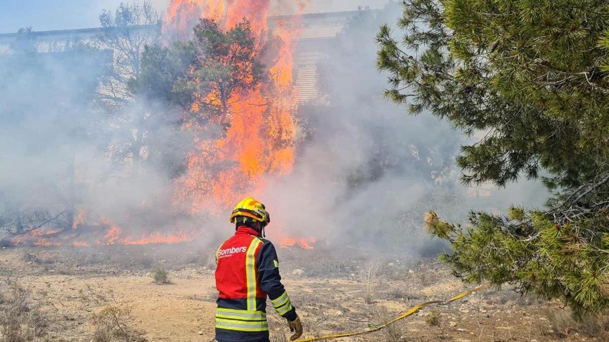 Un incendio en una zona de vegetación seca y pinos cerca del Palau causa la alarma en Benidorm