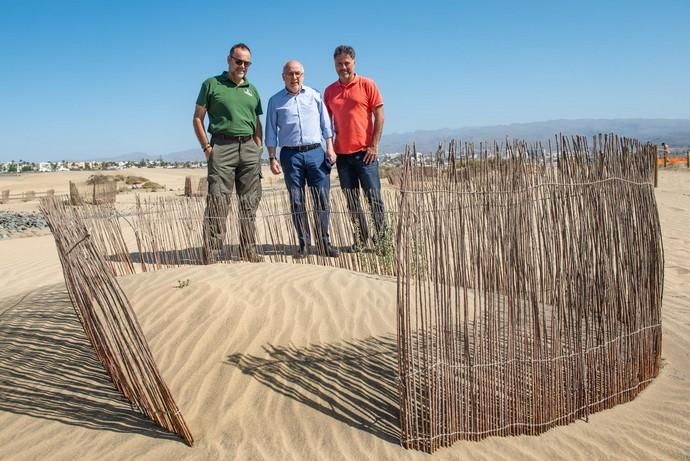 Segunda fase del proyecto de recuperación de las dunas de Maspalomas