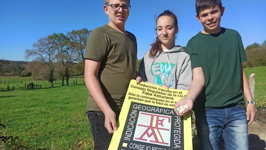 Izan, Karolina y Álex: así son los trillizos sierenses de catorce años que cultivan las mejores fabes de Asturias