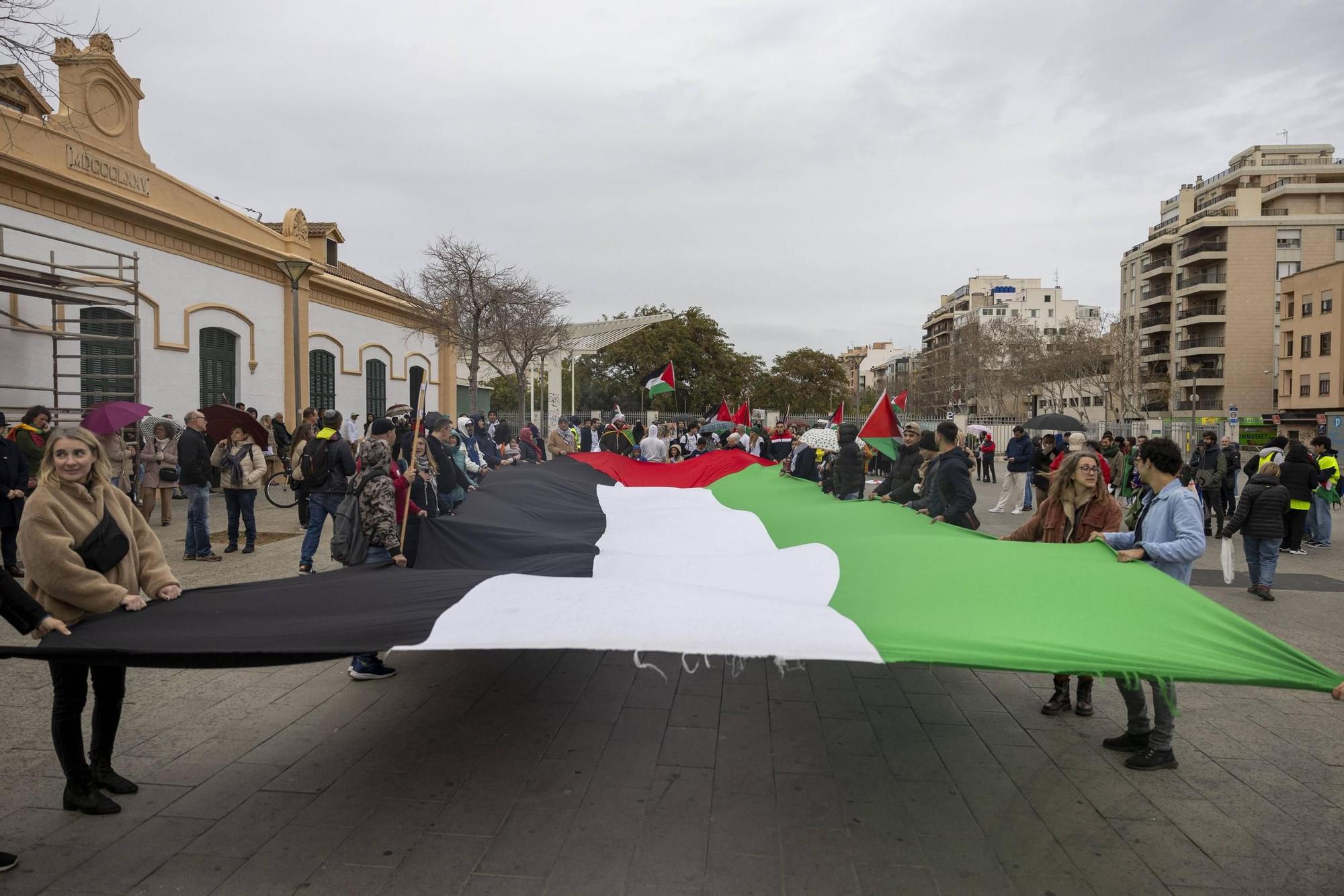 Varios cientos de personas exigen en Palma el fin del «genocidio» israelí