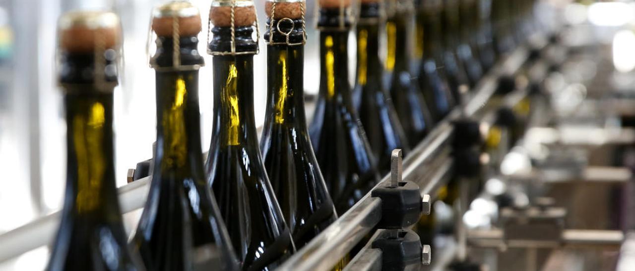 El sector vitivinícola busca cavas y menos vinos a granel