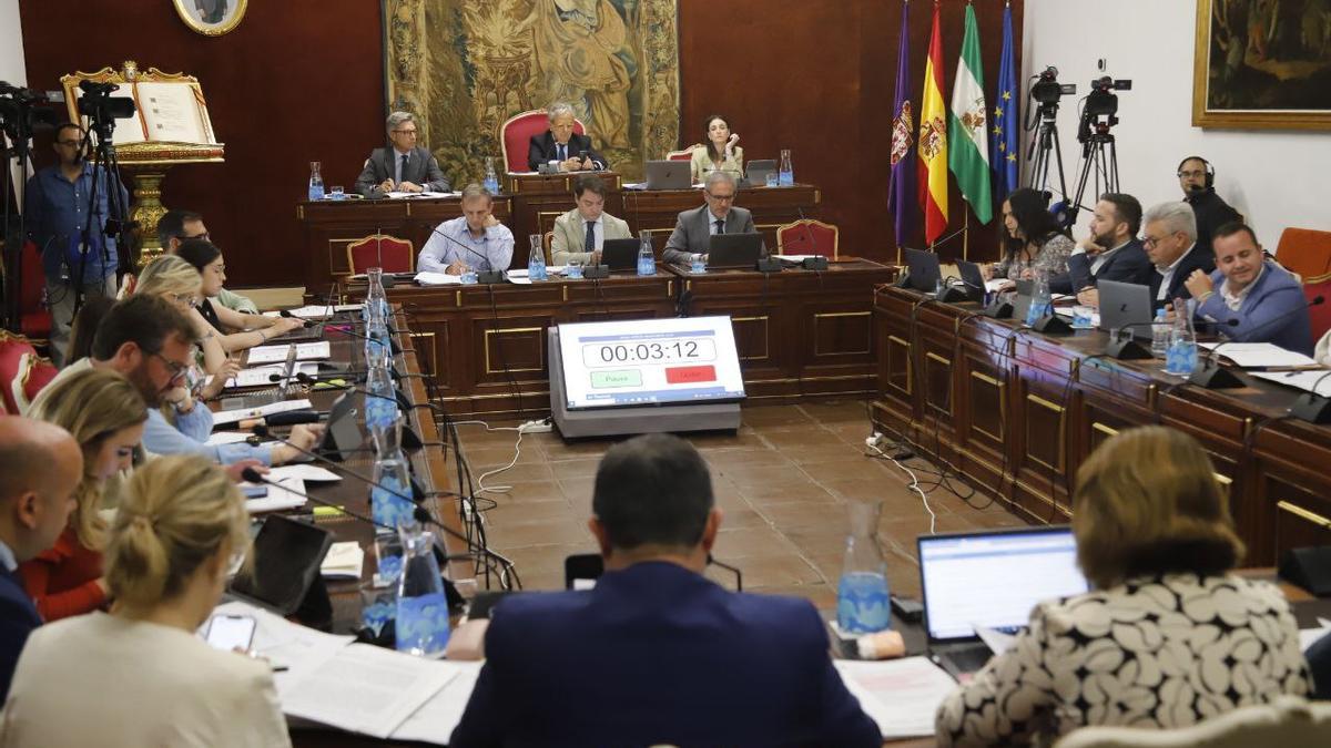 Un momento del pleno ordinario de mayo de la Diputación de Córdoba.