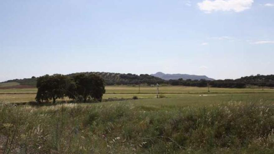 Terrenos sobre los que se proyecta el aeródromo.