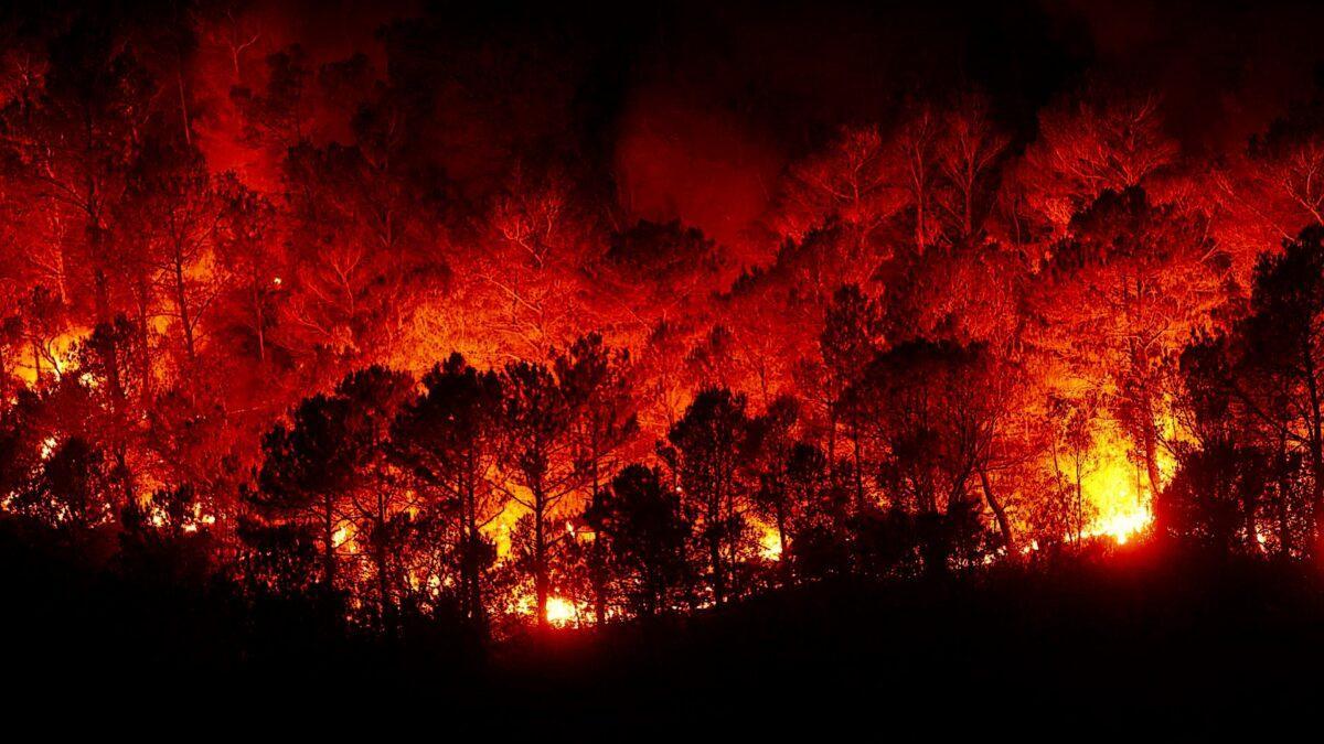 La Tierra en llamas: los incendios, cada vez más destructivos