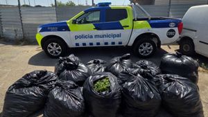 Girona, Montcada i Igualada, on més creix el frau elèctric per la marihuana