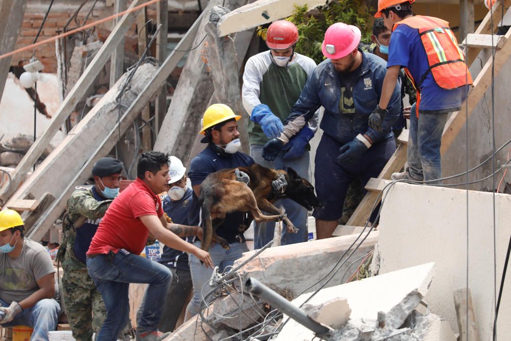 Ciudad de México busca supervivientes entre los escombros